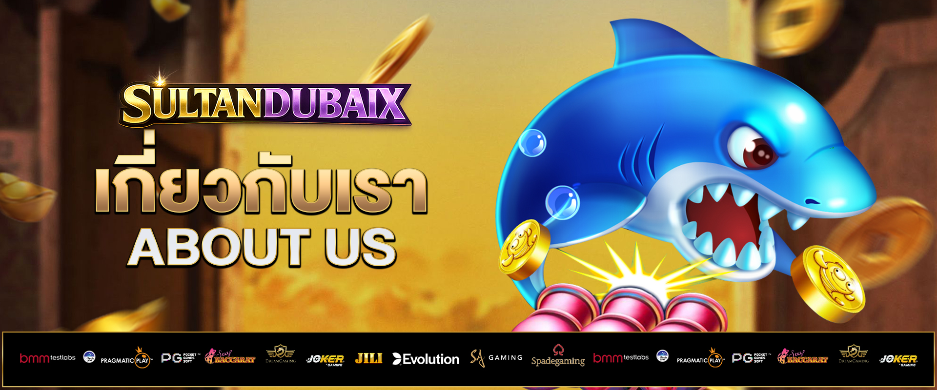 เกี่ยวกับเรา